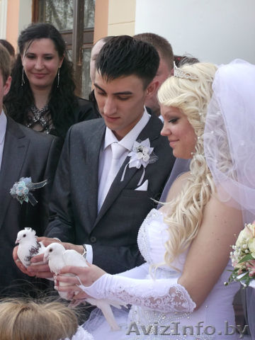 Музыкальное оформление торжеств - Изображение #1, Объявление #937267