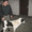 Продам щенка средне-азиатской овчарки - Изображение #5, Объявление #118627