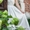 Фото и видео на свадьбу в Рогачеве - Изображение #5, Объявление #1376419