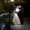 Свадебные фотосессии, фотограф на свадьбу в Рогачеве - Изображение #4, Объявление #1381297