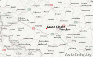 Работа в Польше. DWG Polska Sp. z o.o  WORKERLINK